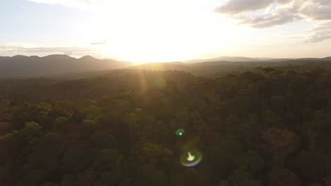 Guayana-Amazonaspark-In-Saül-Per-Drohne.-Amazonas-Walddach